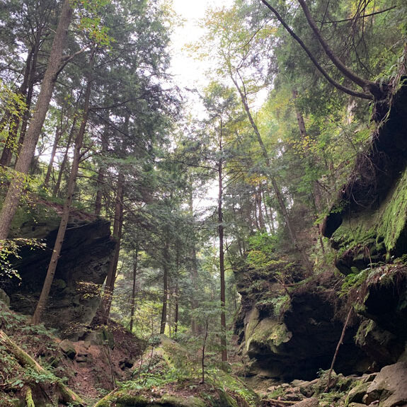 conkles hollow